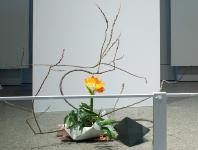 22 - Edna Crowe.jpg 5.6K